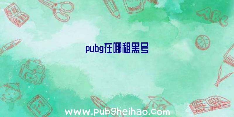 pubg在哪租黑号