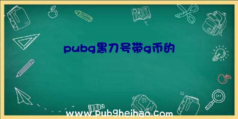 pubg黑刀号带g币的