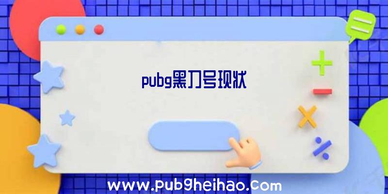 pubg黑刀号现状