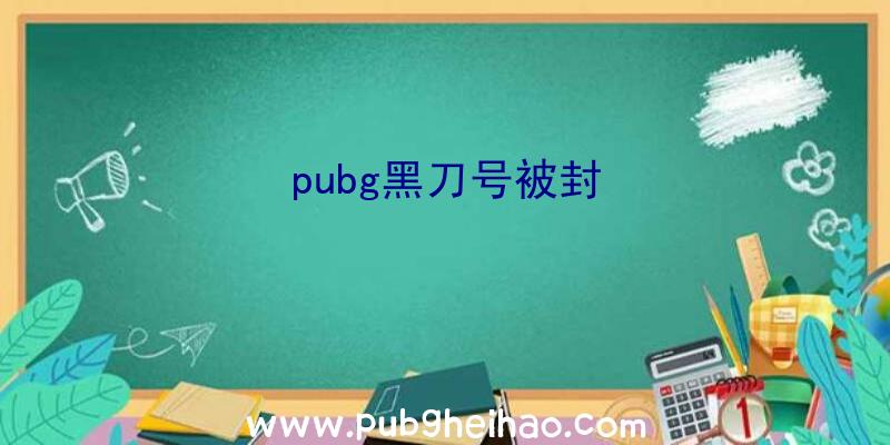 pubg黑刀号被封