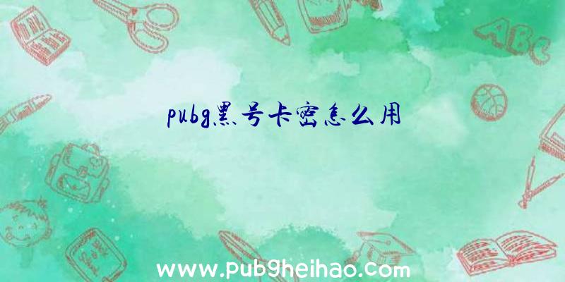 pubg黑号卡密怎么用