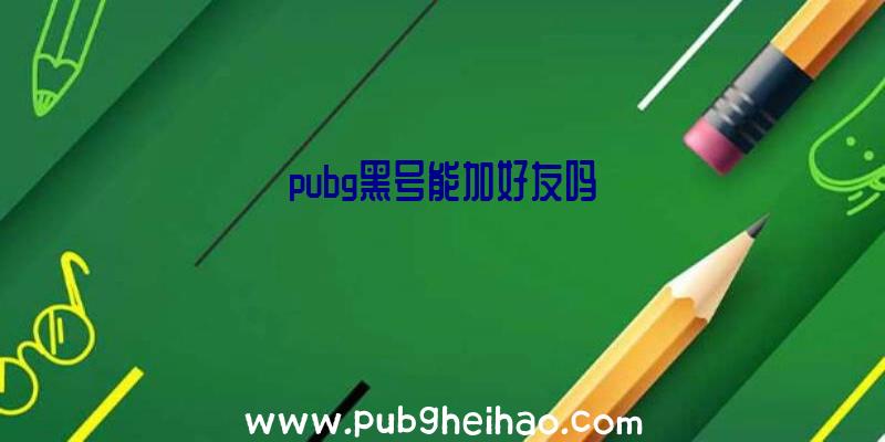 pubg黑号能加好友吗