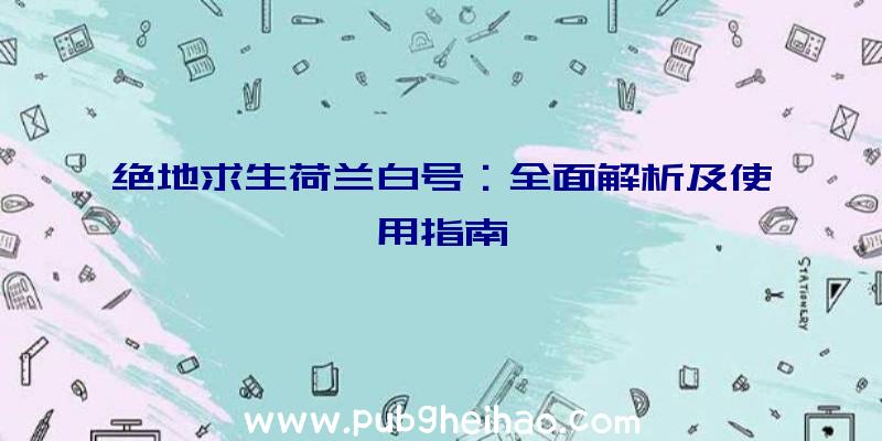 绝地求生荷兰白号：全面解析及使用指南