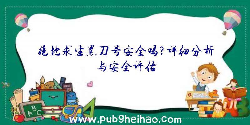 绝地求生黑刀号安全吗？详细分析与安全评估