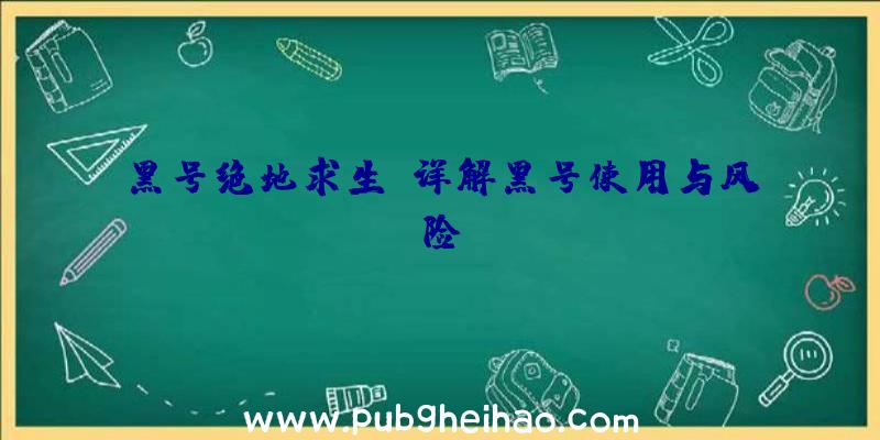 黑号绝地求生：详解黑号使用与风险