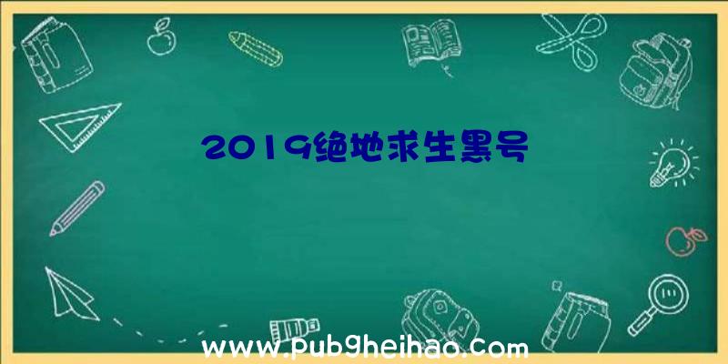 2019绝地求生黑号