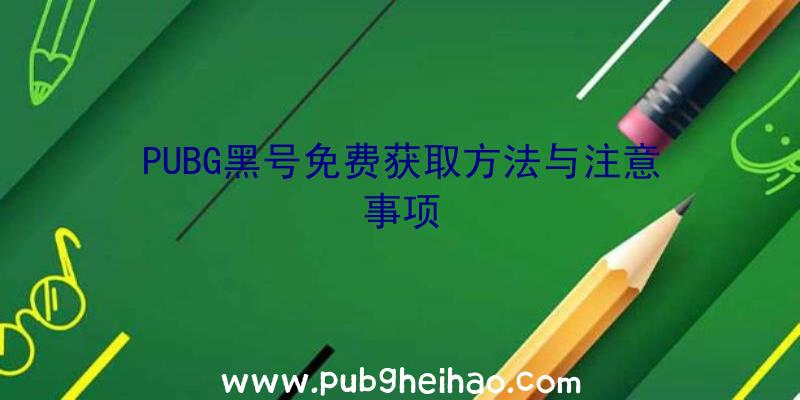 PUBG黑号免费获取方法与注意事项