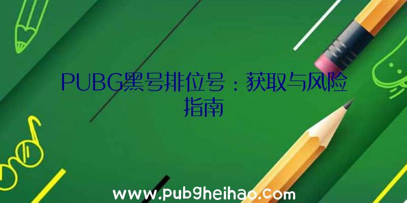 PUBG黑号排位号：获取与风险指南