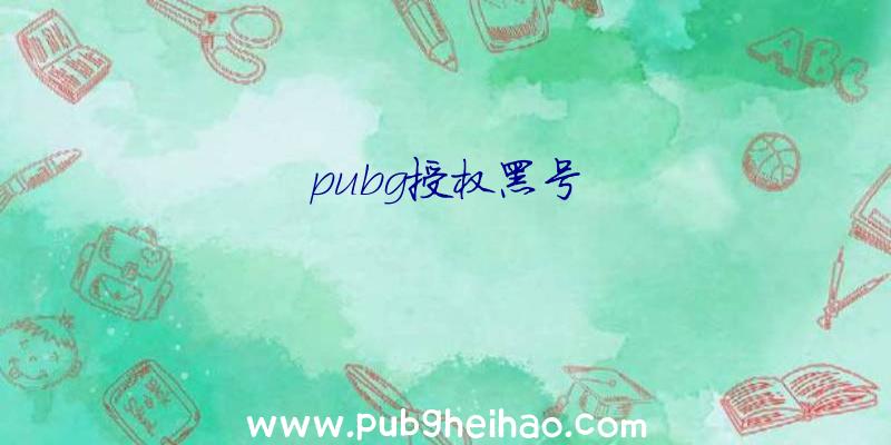 pubg授权黑号