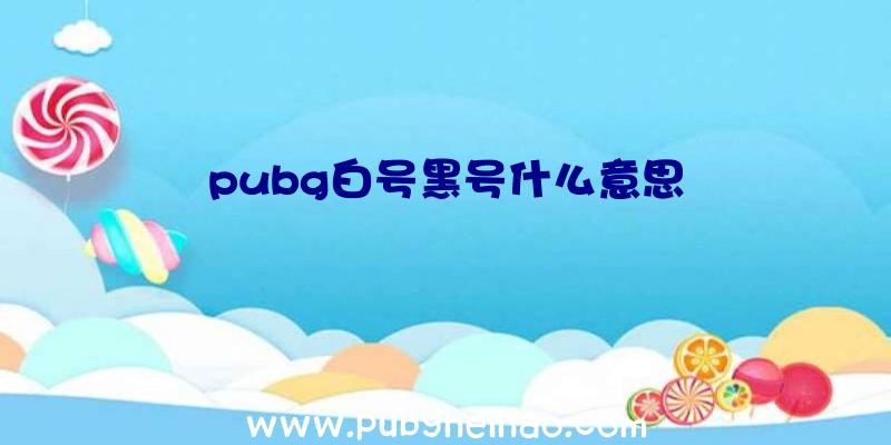 pubg白号黑号什么意思