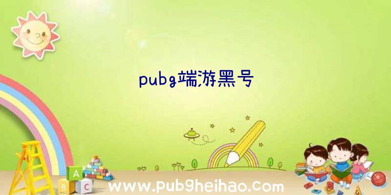 pubg端游黑号