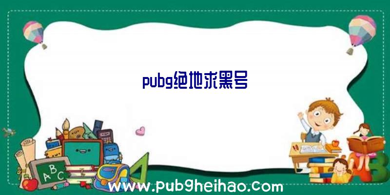 pubg绝地求黑号