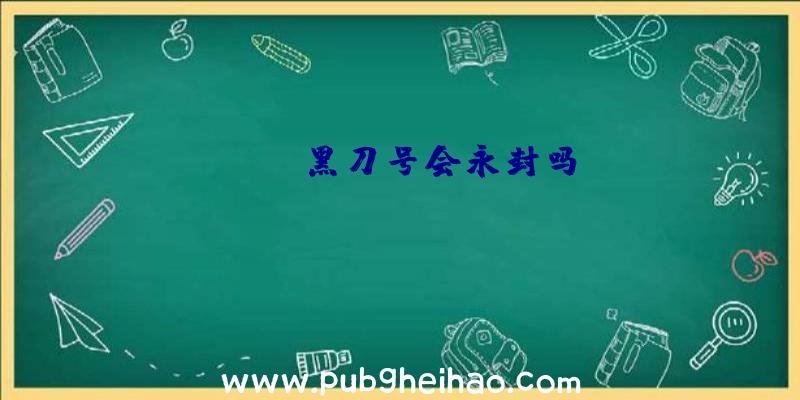 pubg黑刀号会永封吗