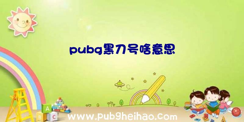 pubg黑刀号啥意思