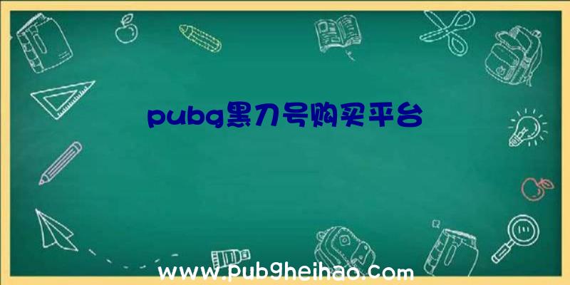 pubg黑刀号购买平台