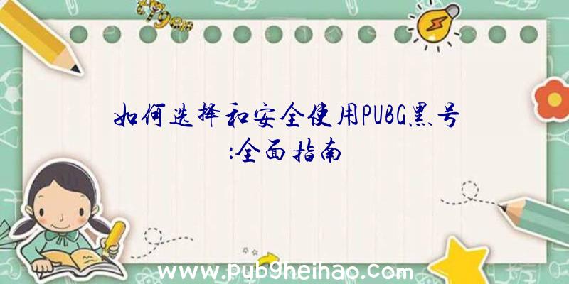 如何选择和安全使用PUBG黑号：全面指南