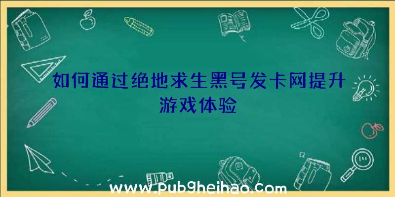 如何通过绝地求生黑号发卡网提升游戏体验