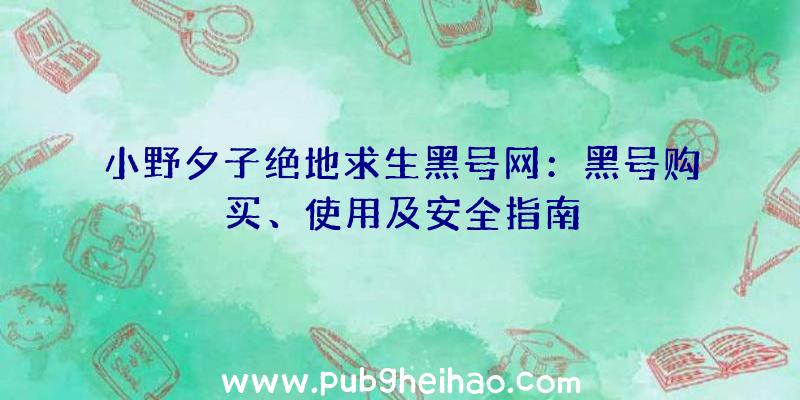 小野夕子绝地求生黑号网：黑号购买、使用及安全指南