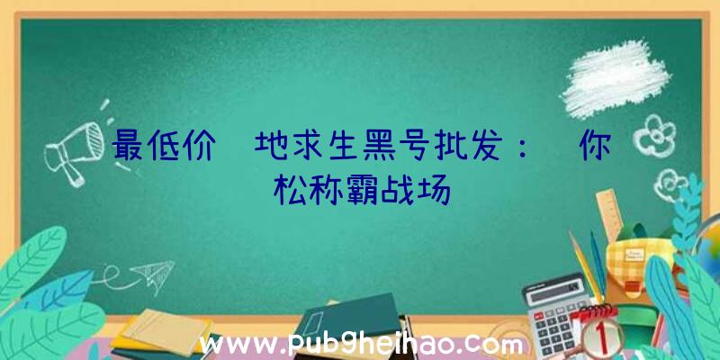 最低价绝地求生黑号批发：让你轻松称霸战场