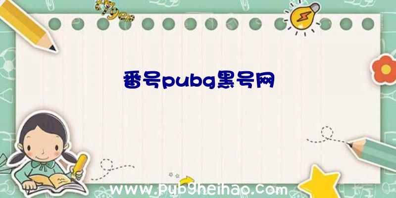 番号pubg黑号网