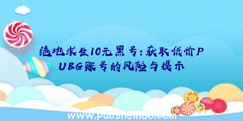 绝地求生10元黑号：获取低价PUBG账号的风险与提示