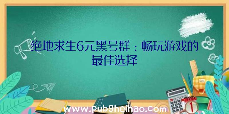 绝地求生6元黑号群：畅玩游戏的最佳选择