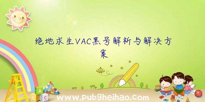 绝地求生VAC黑号解析与解决方案