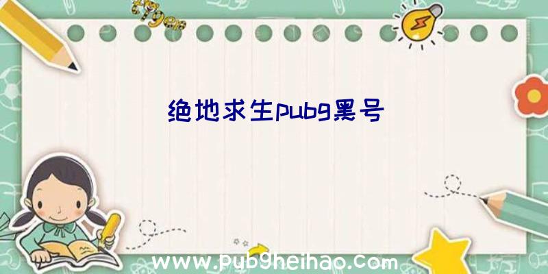 绝地求生pubg黑号