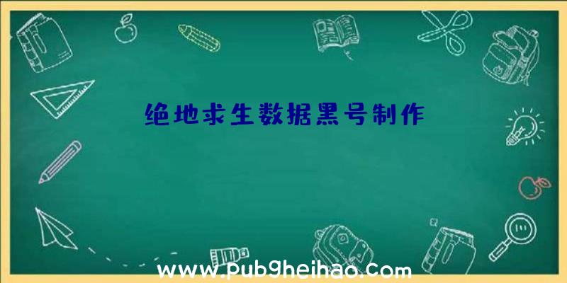 绝地求生数据黑号制作