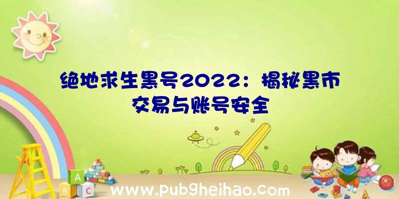 绝地求生黑号2022：揭秘黑市交易与账号安全