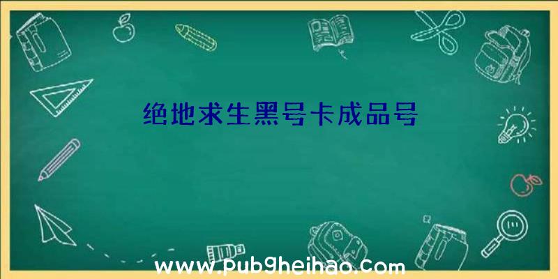 绝地求生黑号卡成品号