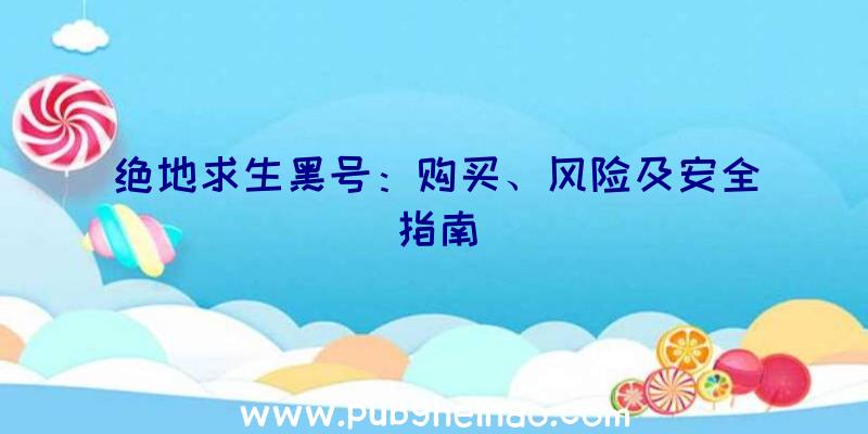 绝地求生黑号：购买、风险及安全指南